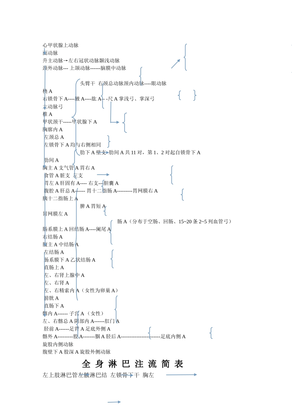 齐鲁医学人体全身动脉图_第1页