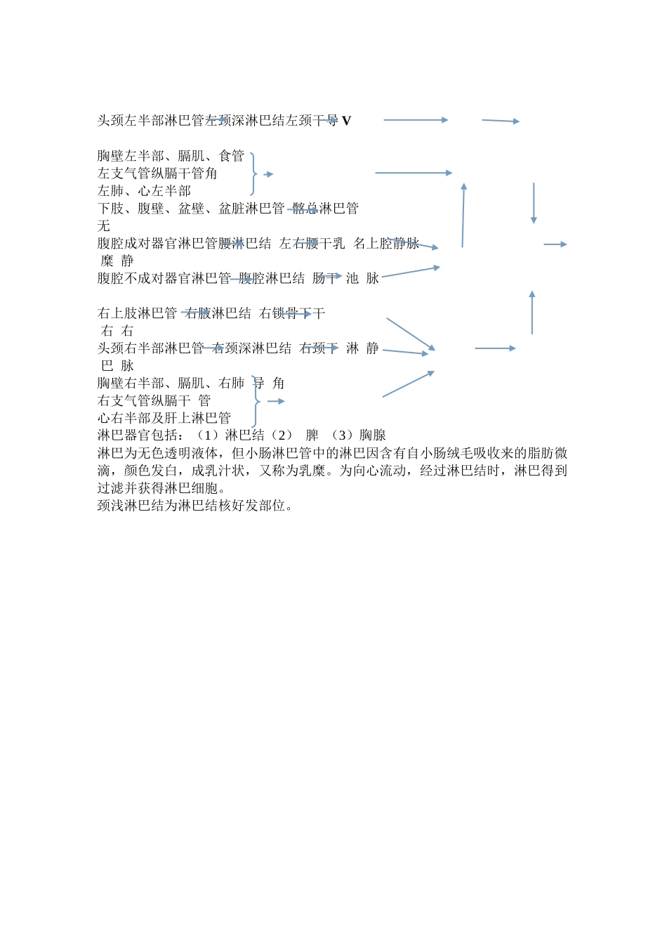 齐鲁医学人体全身动脉图_第2页