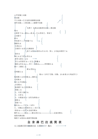 齐鲁医学人体全身动脉图