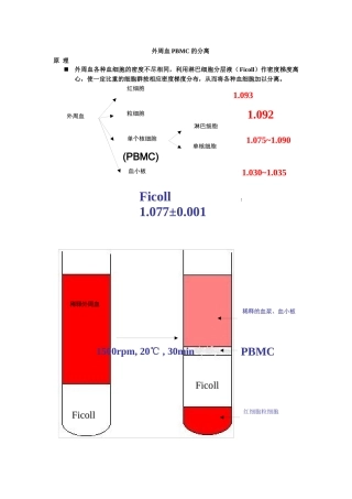 齐鲁医学外周血PBMC的分离