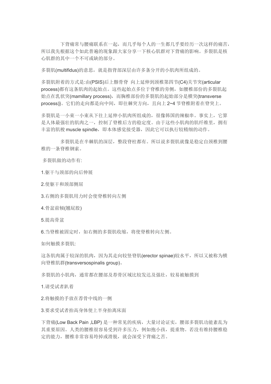 齐鲁医学多裂肌与下背痛_第1页