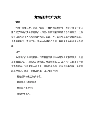 龙泉品牌推广方案