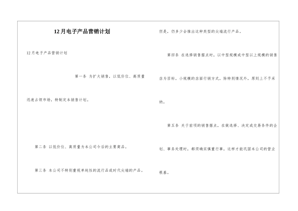 12月电子产品营销计划_第1页