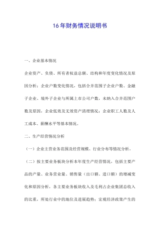 16年财务情况说明书