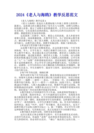 2024《老人与海鸥》教学反思范文