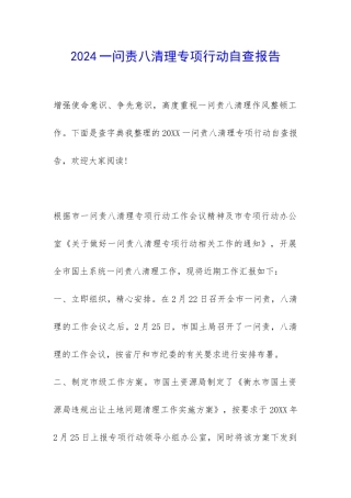 2024一问责八清理专项行动自查报告-