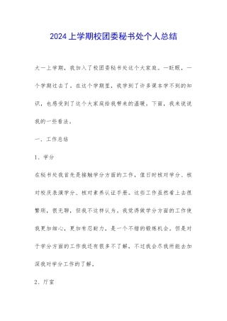 2024上学期校团委秘书处个人总结-