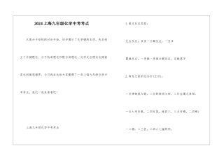 2024上海九年级化学中考考点