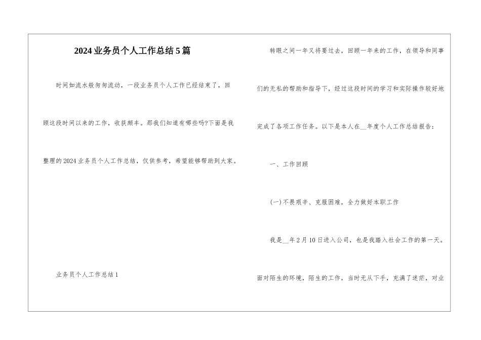 2024业务员个人工作总结5篇_第1页