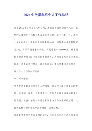 2024业务员年终个人工作总结-