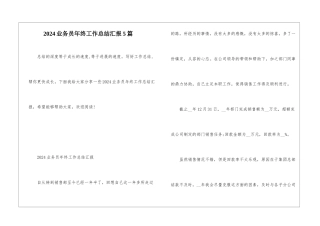 2024业务员年终工作总结汇报5篇