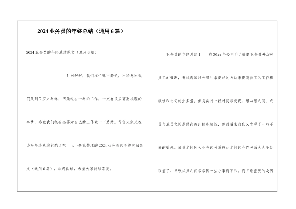 2024业务员的年终总结_第1页