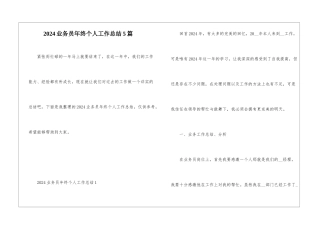 2024业务员年终个人工作总结5篇