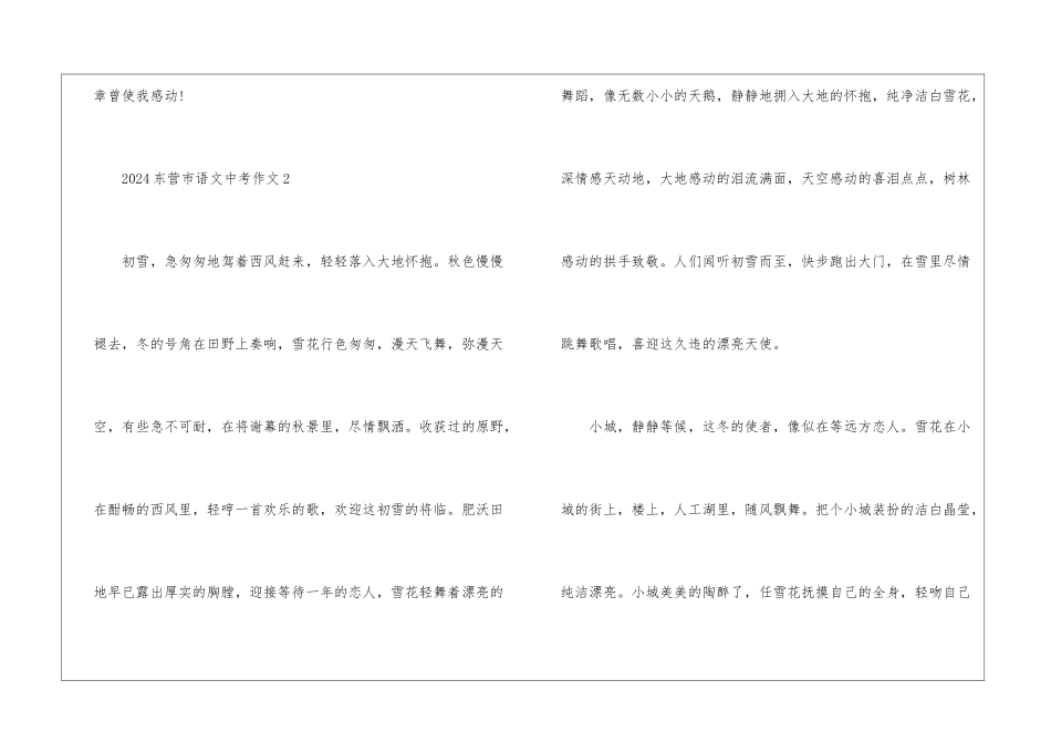 2024东营市语文中考作文5篇_第3页