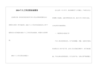 2024个人工作反思总结报告