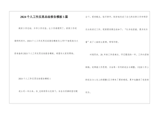 2024个人工作反思总结报告模板5篇