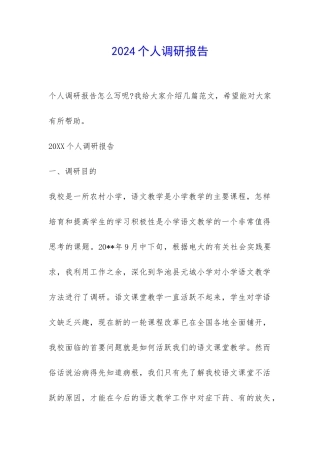 2024个人调研报告-