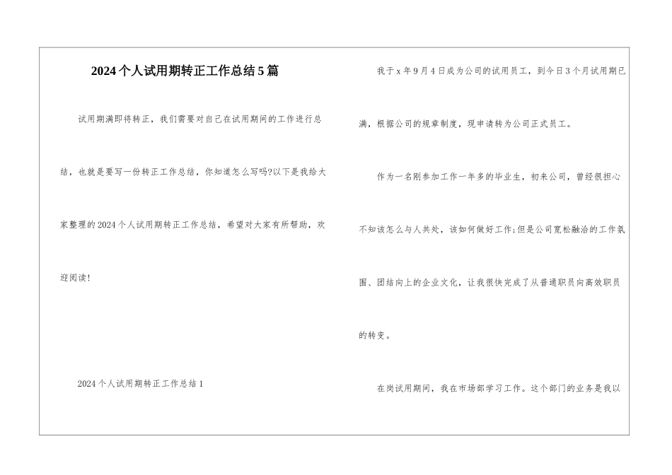 2024个人试用期转正工作总结5篇_第1页