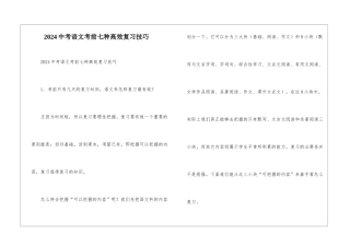 2024中考语文考前七种高效复习技巧-