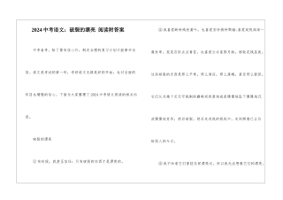 2024中考语文：破碎的美丽-阅读附答案-