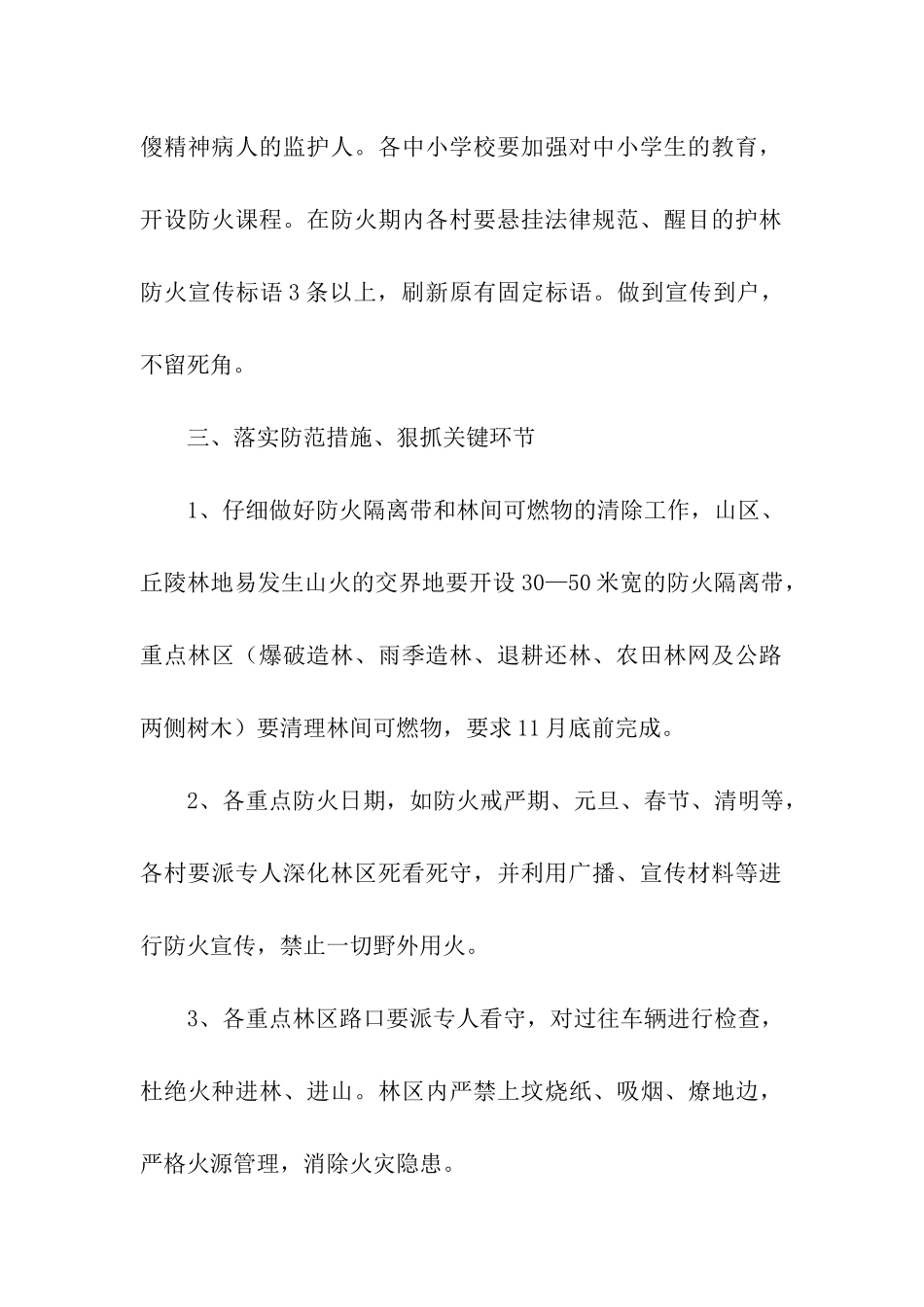 2024乡镇森林防火年度计划_第2页