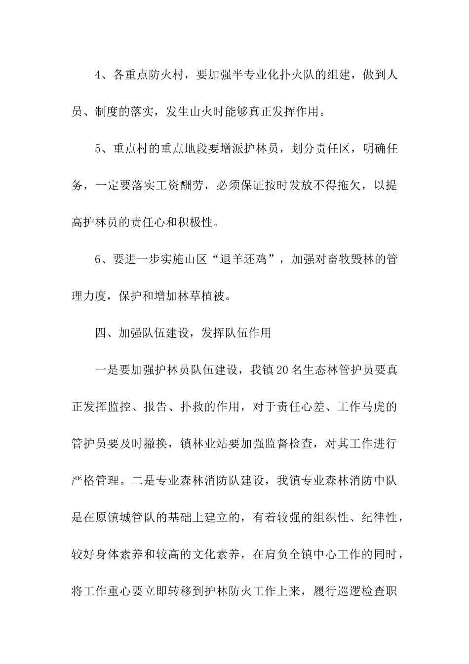 2024乡镇森林防火年度计划_第3页