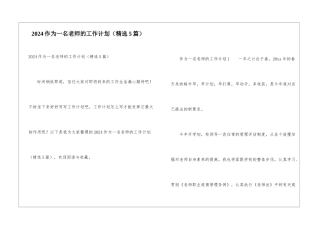 2024作为一名老师的工作计划