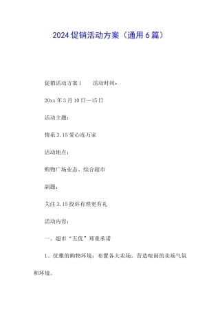 2024促销活动方案