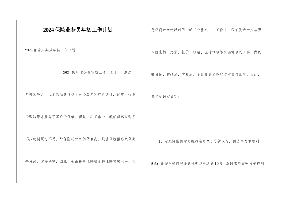 2024保险业务员年初工作计划_第1页