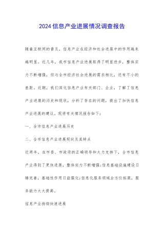 2024信息产业发展情况调查报告-