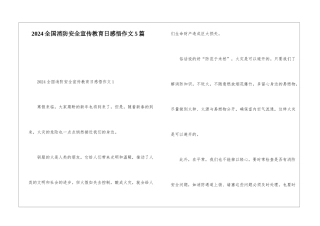 2024全国消防安全宣传教育日感悟作文5篇