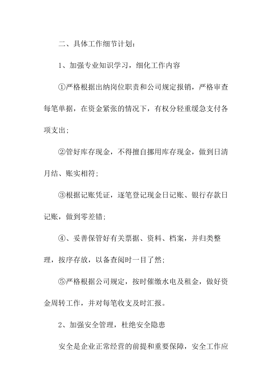 2024公司出纳的工作计划_第2页