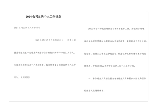 2024公司出纳个人工作计划