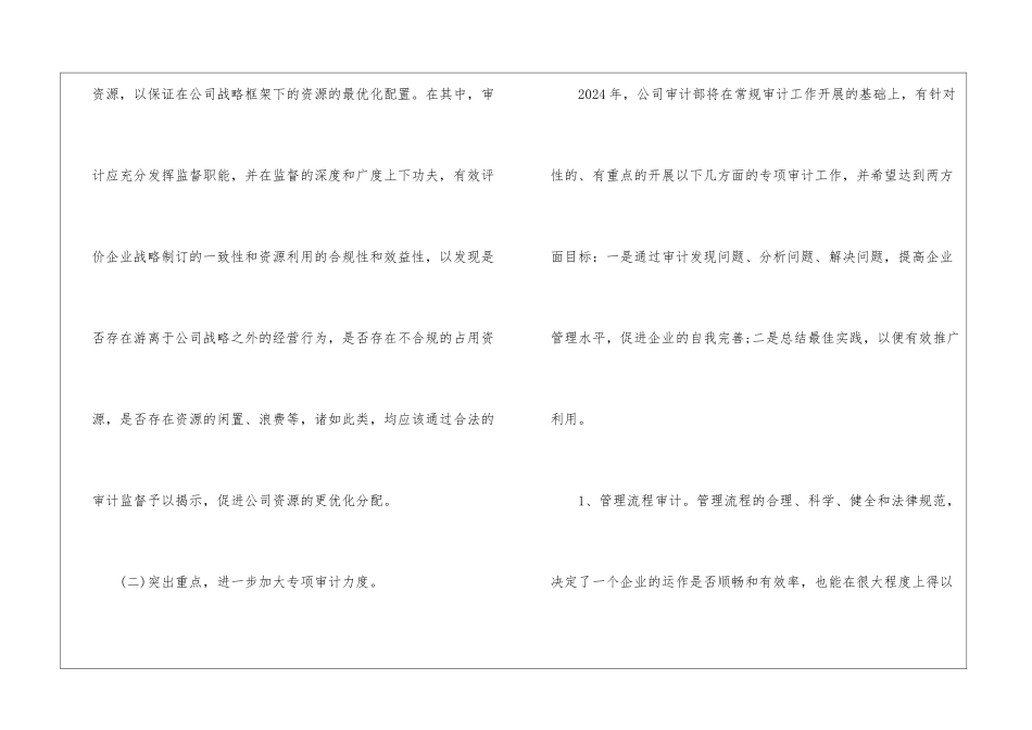 2024公司审计师年度工作计划_第3页