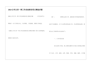 2024公司文员一周工作总结报告范文精选多篇