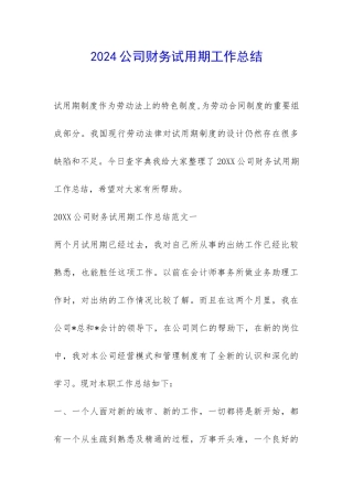 2024公司财务试用期工作总结-