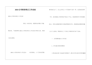 2024公司财务转正工作总结