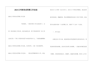 2024公司财务试用期工作总结