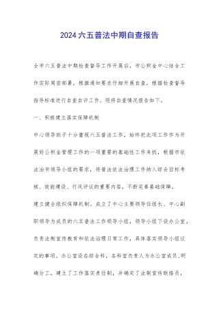 2024六五普法中期自查报告-