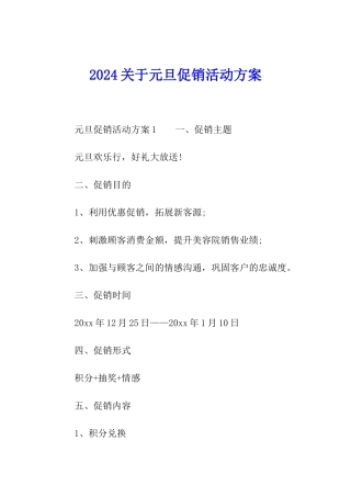 2024关于元旦促销活动方案