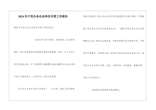 2024关于民办非企业单位年度工作报告