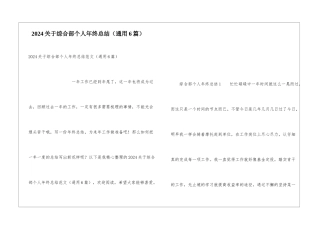 2024关于综合部个人年终总结