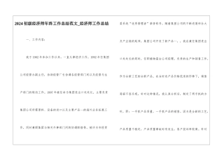 2024初级经济师年终工作总结范文-经济师工作总结
