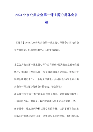 2024北京公共安全第一课主题心得体会多篇