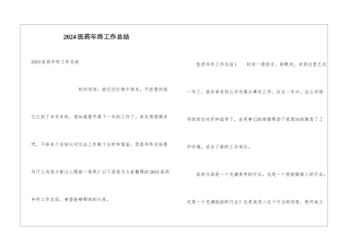 2024医药年终工作总结