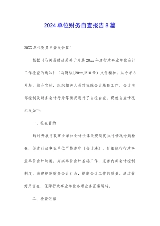 2024单位财务自查报告8篇