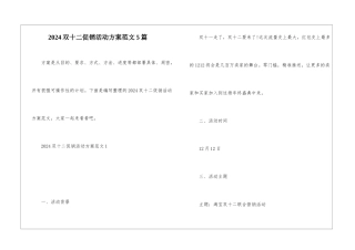 2024双十二促销活动方案范文5篇