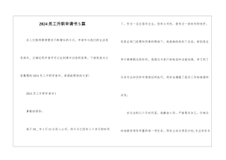 2024员工升职申请书5篇