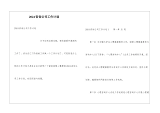 2024咨询公司工作计划