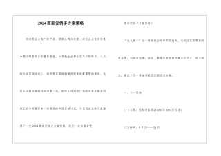 2024商家促销多方案策略